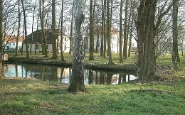 Dwór w Przyczynie Górnej - widok z parku