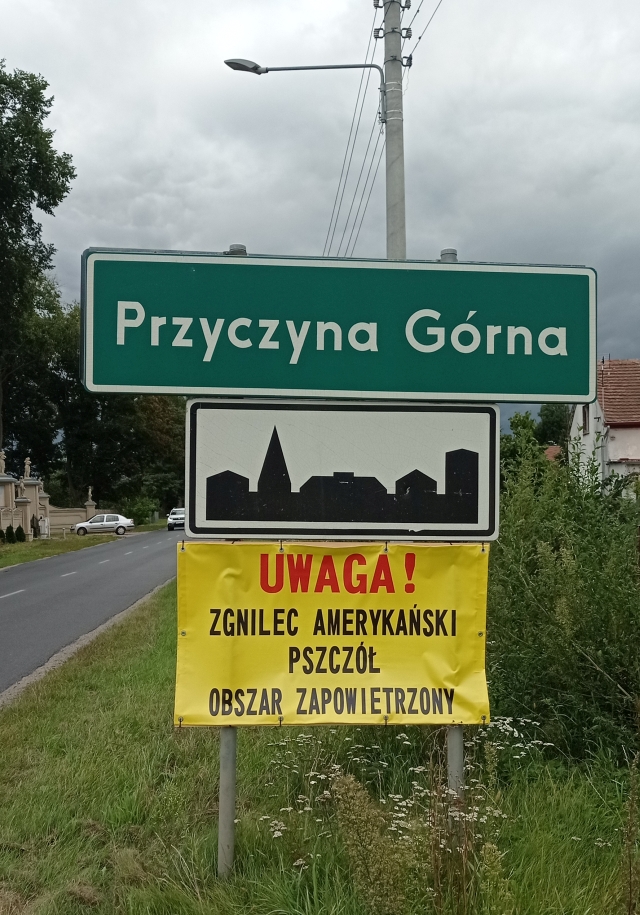 Zgnilec