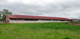 Przyczyna Górna - Ferma Krów Mlecznych - obora