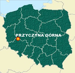 Mapka - Przyczyna Górna - Polska