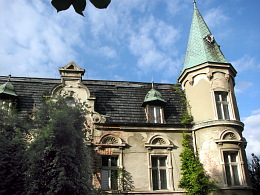 Pałac w Przyczynie Górnej